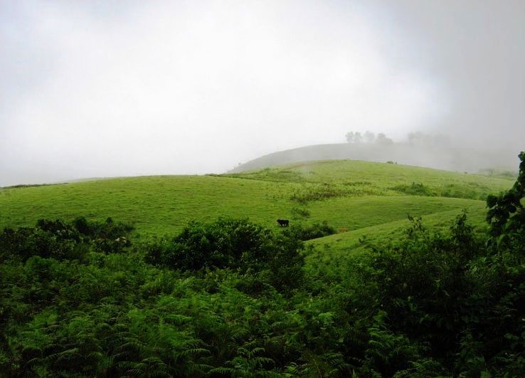 3. Vagamon